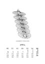 April 1988, Riemann's Minimal Surface