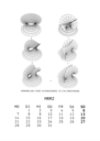 March 1988, Deformation of Catenoid to Enneper Surface