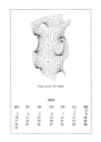 July 1989, Tower of CLP Minimal Surface